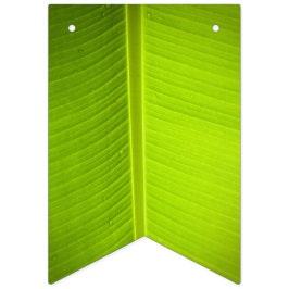 Tropisch thema. Banaanbladeren. Vlaggetjes