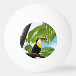 Tropisch toucan in een boom pingpongbal