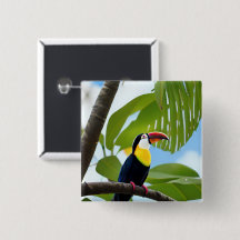 Tropisch toucan in een boom