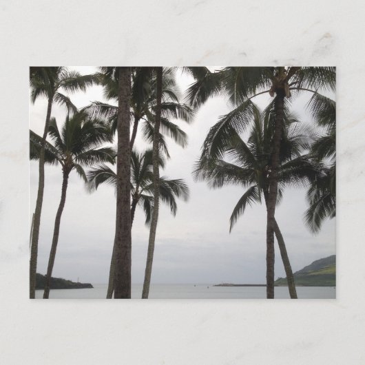 Tropisch Uitzicht op Kauai Briefkaart (Voorkant)