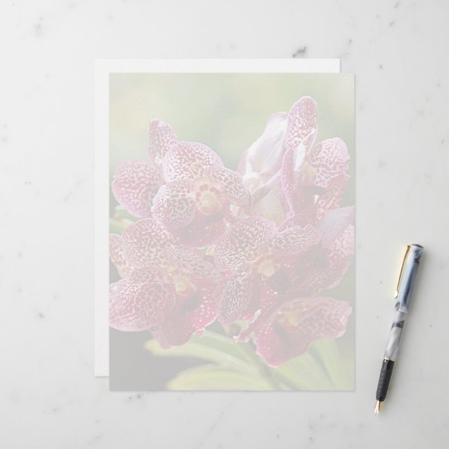 Tropisch Vanda Orchid Cluster (Voorkant / Achterkant in situ)
