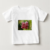 Tropisch Vanda Orchid Cluster (Voorkant)