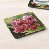 Tropisch Vanda Orchid Cluster Bier Onderzetter (Linkerzijde)