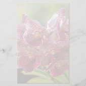 Tropisch Vanda Orchid Cluster Briefpapier (Voorkant)