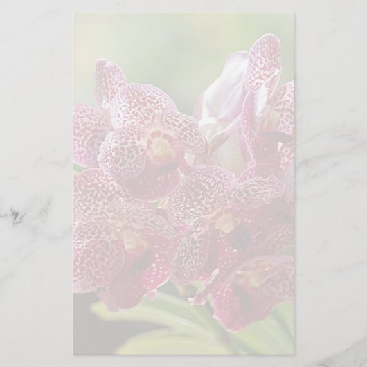 Tropisch Vanda Orchid Cluster Briefpapier (Voorkant)