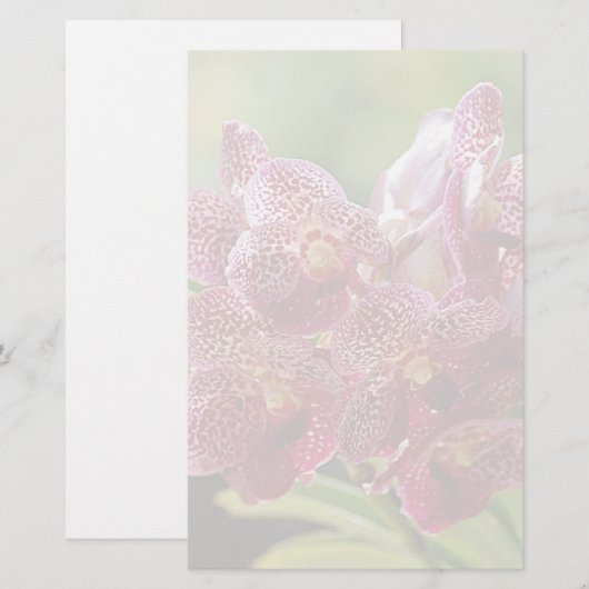 Tropisch Vanda Orchid Cluster Briefpapier (Voorkant / Achterkant)