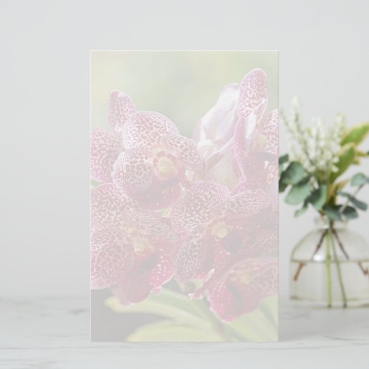Tropisch Vanda Orchid Cluster Briefpapier (Staand voorkant)