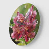 Tropisch Vanda Orchid Cluster Grote Klok (Hoek)