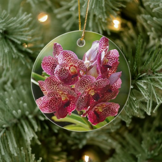 Tropisch Vanda Orchid Cluster Keramisch Ornament (Boom)