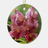Tropisch Vanda Orchid Cluster Keramisch Ornament (Links)