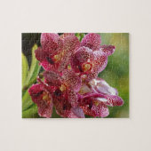 Tropisch Vanda Orchid Cluster Legpuzzel (Horizontaal)