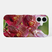 Tropisch Vanda-Orchideeëngoed iPhone 16 Hoesje (Achterkant horizontaal)