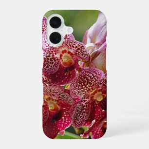 Tropisch Vanda-Orchideeëngoed iPhone 16 Hoesje