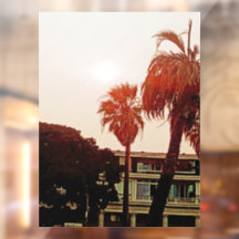 Tropisch venster vastklampen