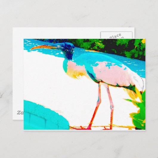 Tropisch verhaal — grafisch thema briefkaart (Voorkant / Achterkant)