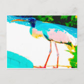 Tropisch verhaal — grafisch thema briefkaart (Voorkant)