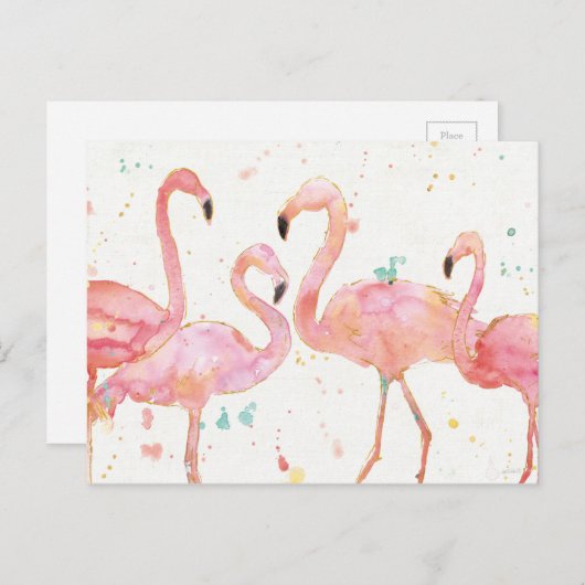 Tropisch | Verzameling van Flamingos Briefkaart (Voorkant / Achterkant)