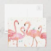 Tropisch | Verzameling van Flamingos Briefkaart (Voorkant / Achterkant)