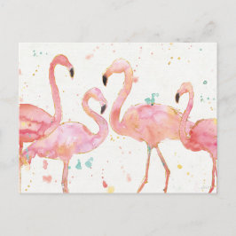 Tropisch | Verzameling van Flamingos Briefkaart