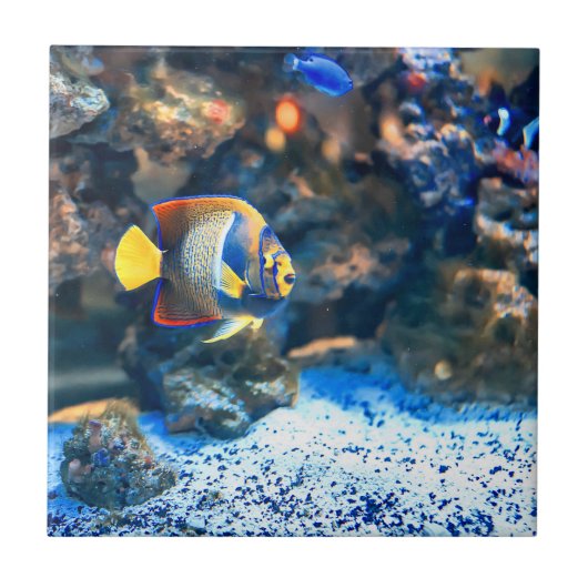 Tropisch viskoraal onderzee tegeltje (Voorkant)