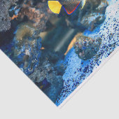 Tropisch viskoraal onderzee tissuepapier (Detail)