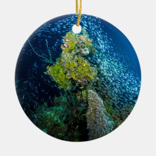 Tropisch viskoraal Zee van Great Barrier Reef Keramisch Ornament (Voorkant)