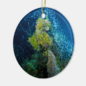 Tropisch viskoraal Zee van Great Barrier Reef Keramisch Ornament (Links)
