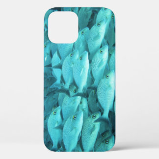 Tropisch viskoraalrif, zeeleven. Case-Mate iPhone case