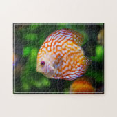 Tropisch visspel Puzzle Legpuzzel (Horizontaal)