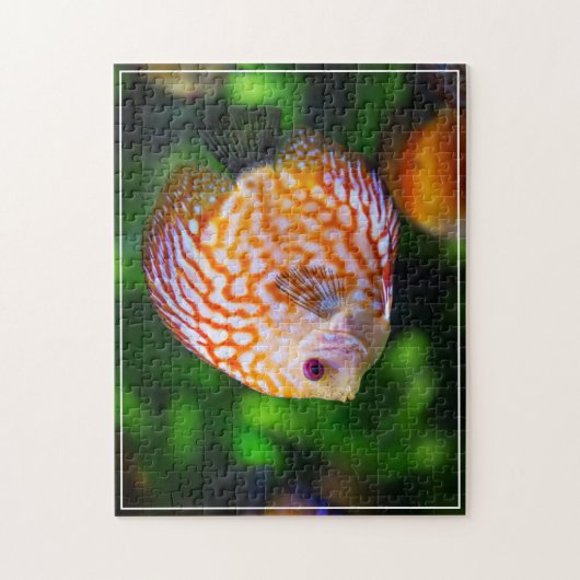Tropisch visspel Puzzle Legpuzzel (Verticaal)