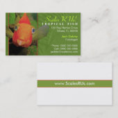 Tropisch visVisitekaartje Visitekaartje (Voorkant / Achterkant)