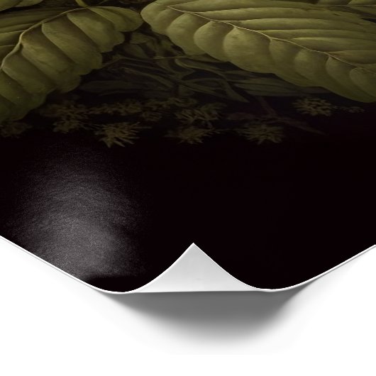 Tropisch  Vogel en Bloemen Perfect Poster (Hoek)