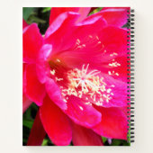 Tropisch, warm roze, kotterbloem foto notitieboek (Achterkant)