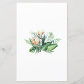 Tropisch wat er in het luierbalkschoenspel zit (Achterkant)