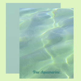 Tropisch waterschelpdierpapier