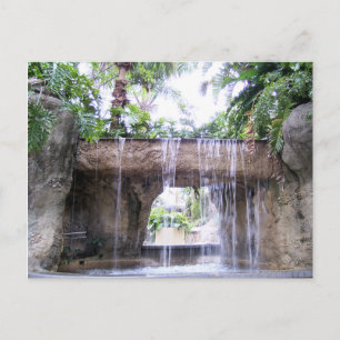 Tropisch Waterval Scene in West Palm Beach Briefkaart