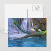 Tropisch watervalBriefkaart Briefkaart (Voorkant / Achterkant)