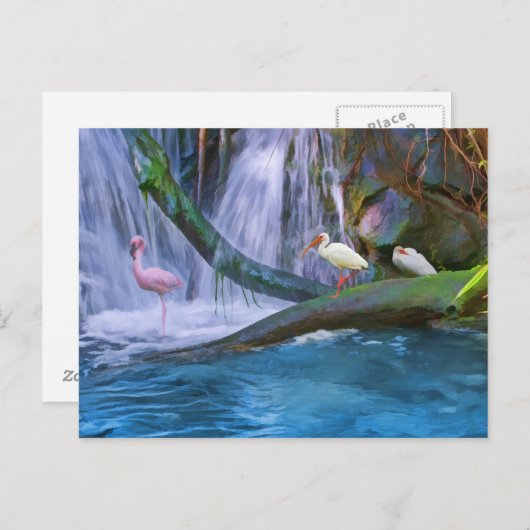 Tropisch watervalBriefkaart Briefkaart (Voorkant / Achterkant)