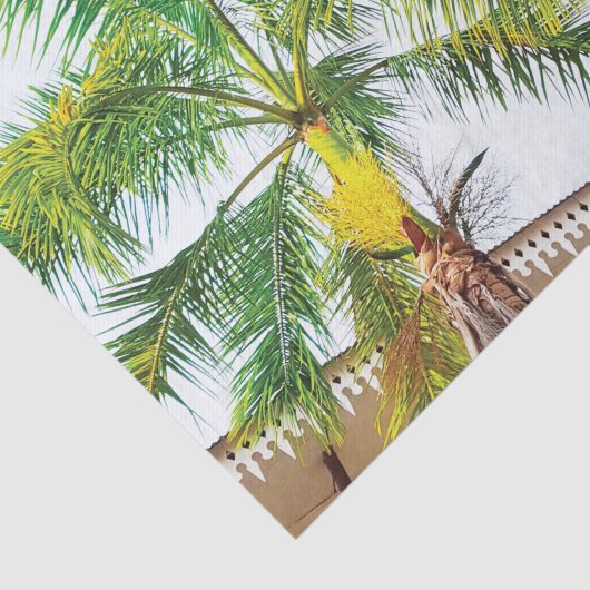 Tropisch weefsel papier palmboom (Detail)