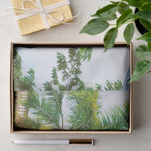 Tropisch weefsel papier palmboom (Geschenk)