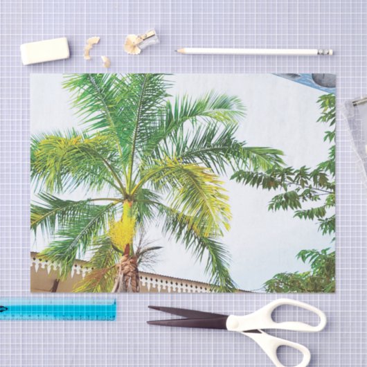 Tropisch weefsel papier palmboom (Craft)