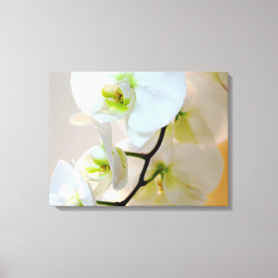 Tropisch wit orchideeën nummer twee omgepakt Canv Canvas Afdruk