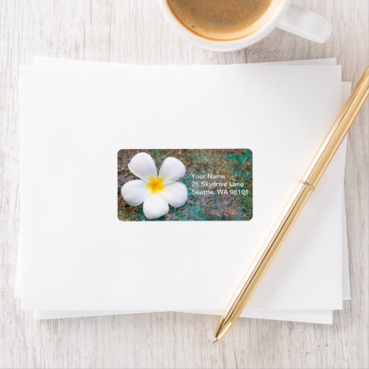 Tropisch-witte plalmie-ventilator Frangipani Etiket (Insitu)