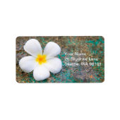 Tropisch-witte plalmie-ventilator Frangipani Etiket (Voorkant)