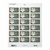 Tropisch-witte plalmie-ventilator Frangipani Etiket (Full Sheet)