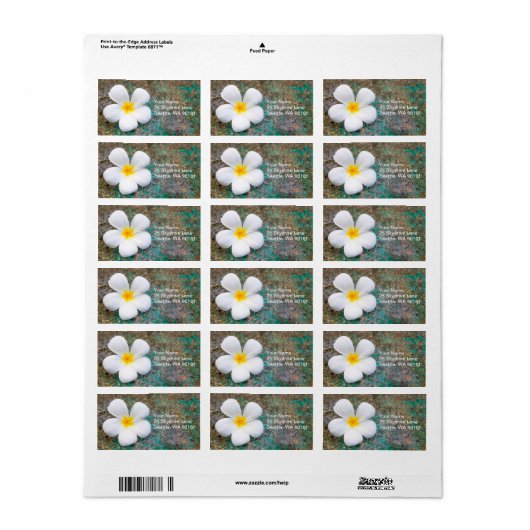 Tropisch-witte plalmie-ventilator Frangipani Etiket (Full Sheet)