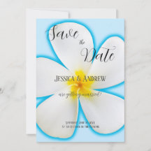 Tropisch, witte Plumeria op blauw, bloem, bruiloft