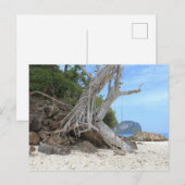 Tropisch zandstrand briefkaart (Voorkant / Achterkant)