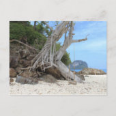 Tropisch zandstrand briefkaart (Voorkant)