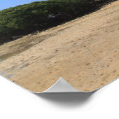 Tropisch zandstrand poster (Hoek)